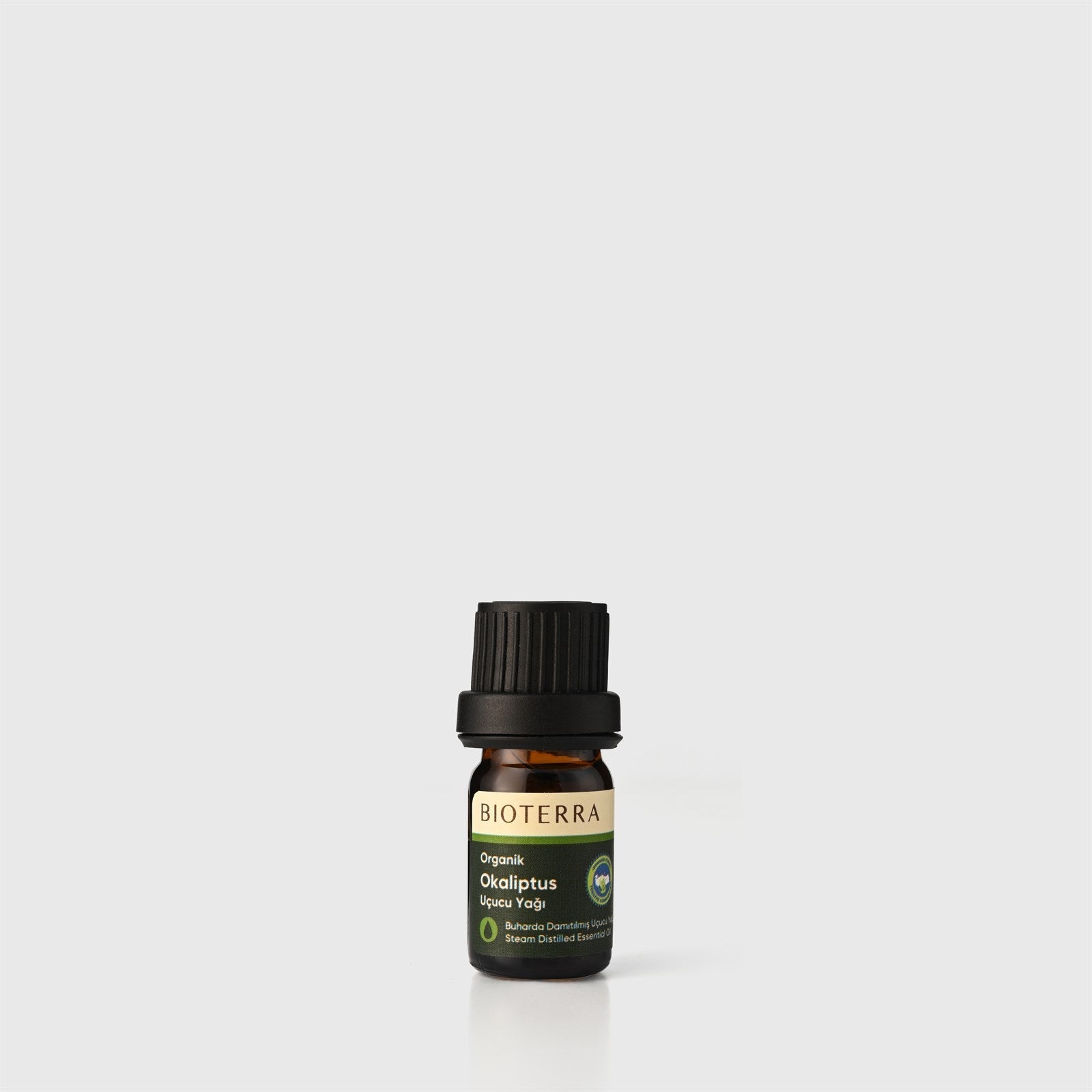 Bioterra Organic Eucalyptus Essential Oil