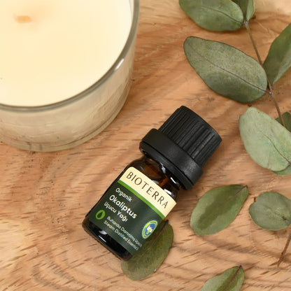 Bioterra Organic Eucalyptus Essential Oil