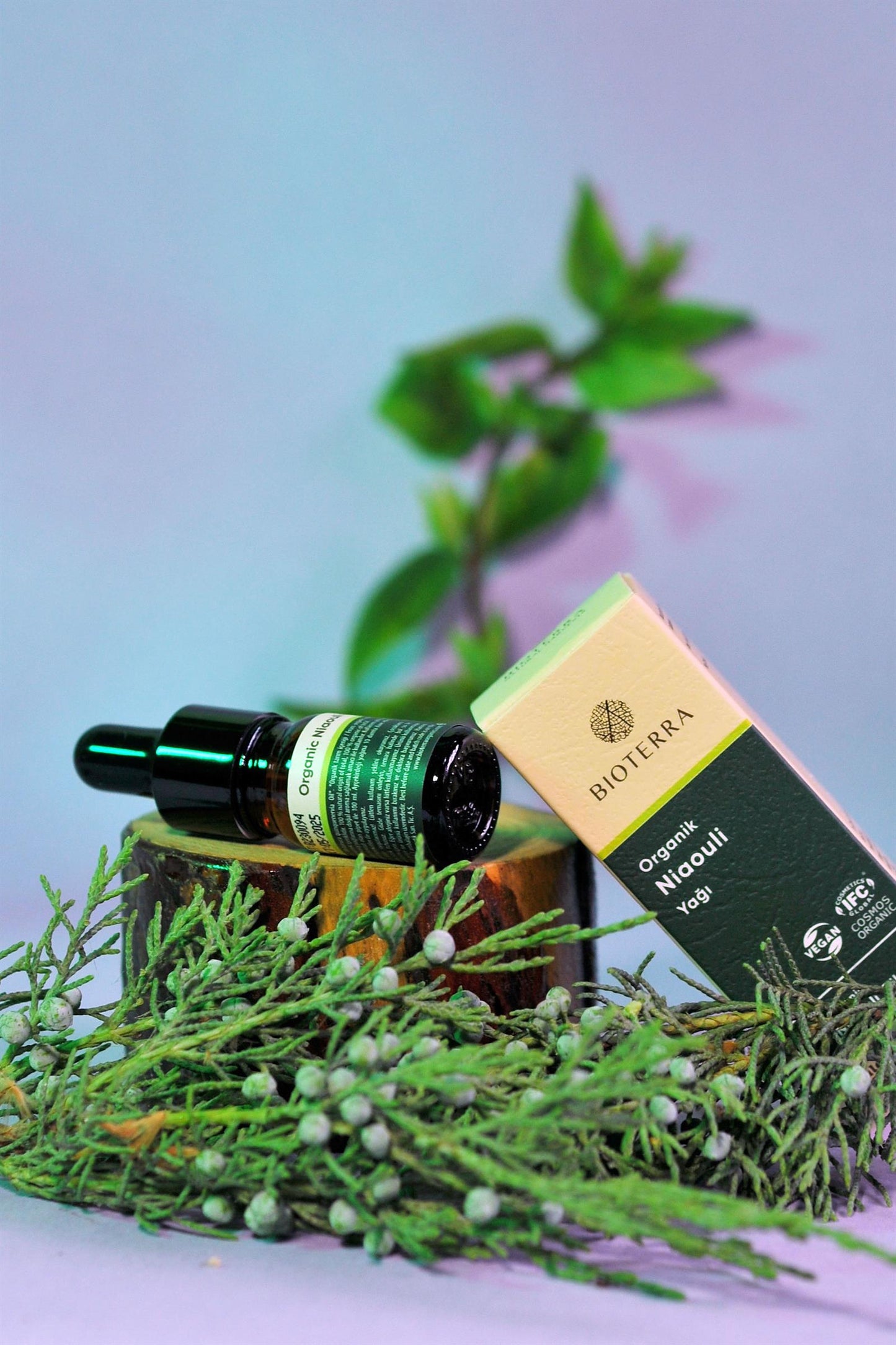 Bioterra Organic Niaouli Essential Oil