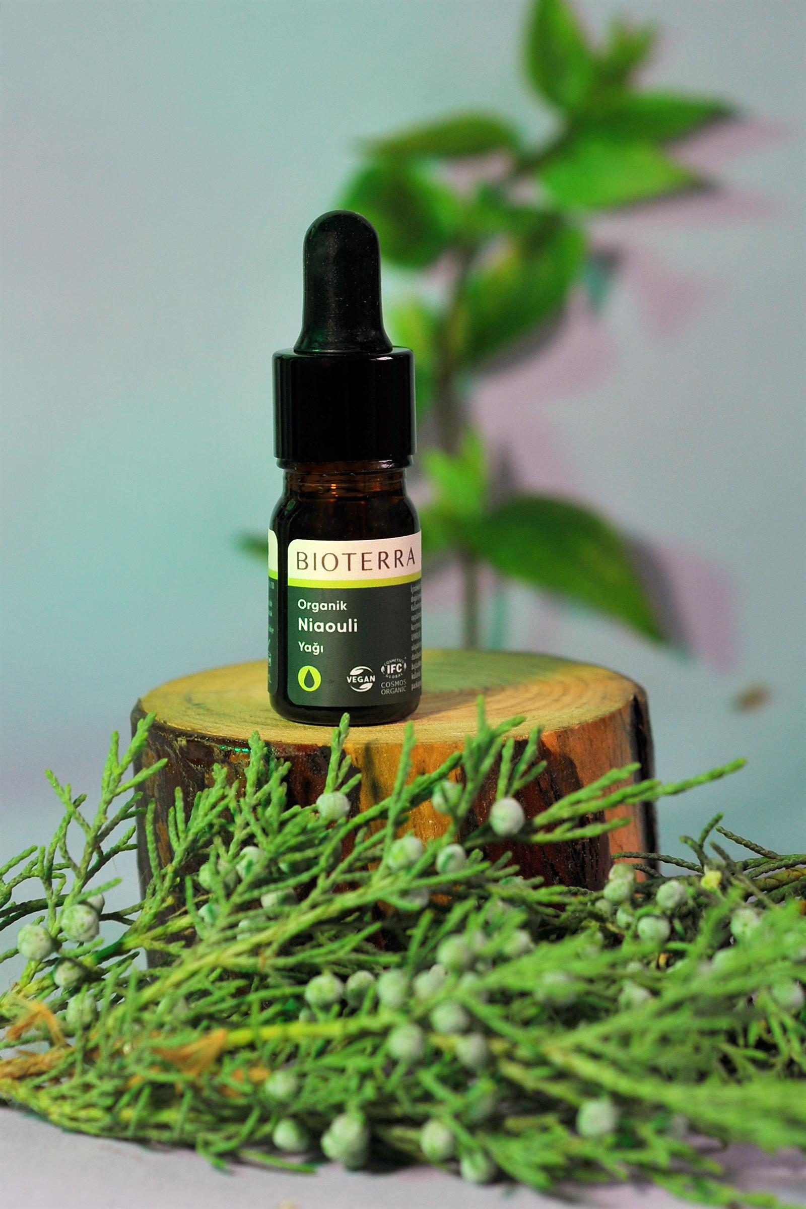 Bioterra Organic Niaouli Essential Oil