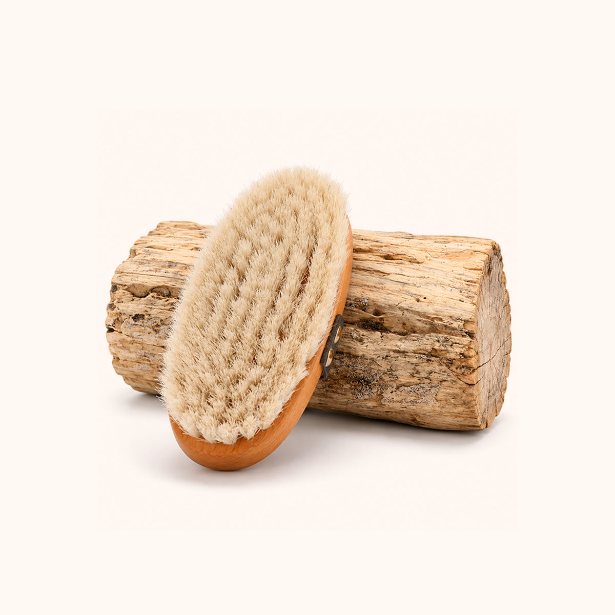Bioterra Horsehair Brush