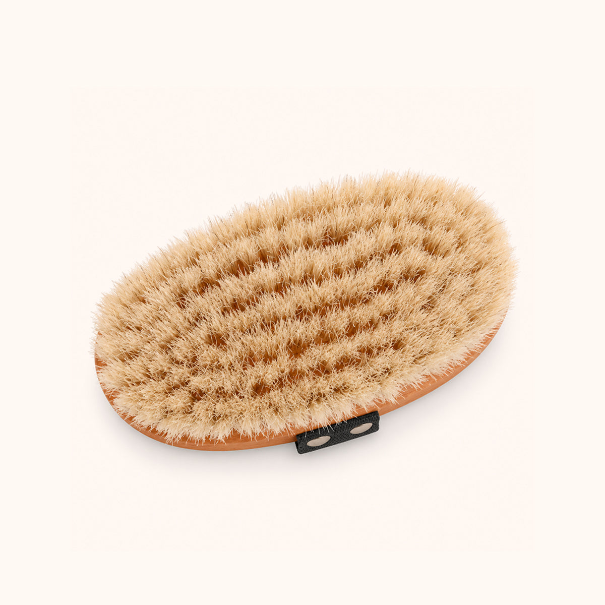 Bioterra Horsehair Brush